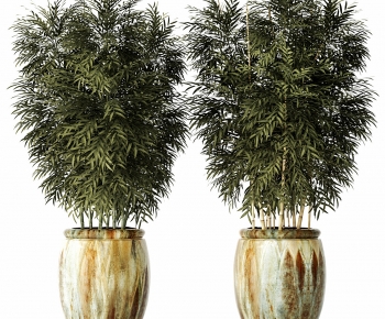 Modern Ground Green Plant Potted Plants-ID:420929917