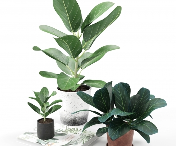 Modern Potted Green Plant-ID:723140955