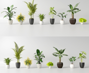 Modern Ground Green Plant Potted Plants-ID:581976895