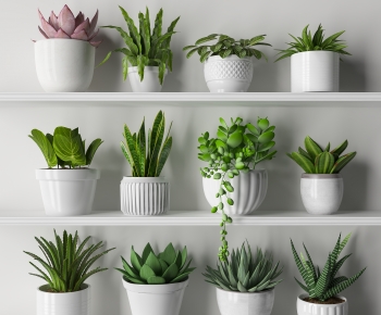 Modern Potted Green Plant-ID:195960044