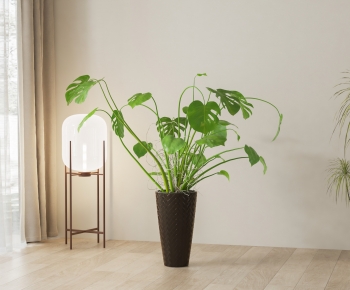 Modern Ground Green Plant Potted Plants-ID:351135979