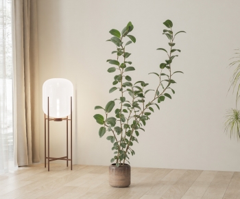 Modern Ground Green Plant Potted Plants-ID:352806095