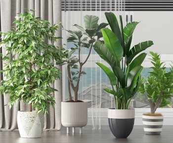 Modern Ground Green Plant Potted Plants-ID:525101902