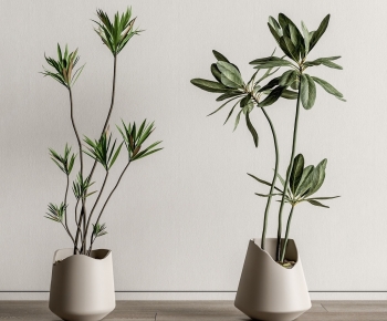 Modern Ground Green Plant Potted Plants-ID:813323972