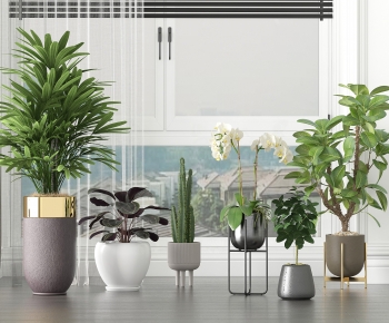 Modern Ground Green Plant Potted Plants-ID:810230021