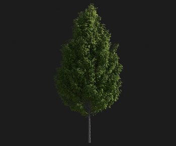 Modern Tree-ID:510437016