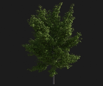 Modern Tree-ID:502226117