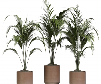 Modern Ground Green Plant Potted Plants-ID:684221989