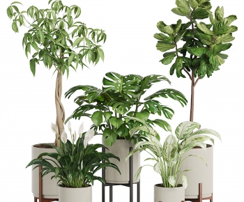 Modern Ground Green Plant Potted Plants-ID:792607076