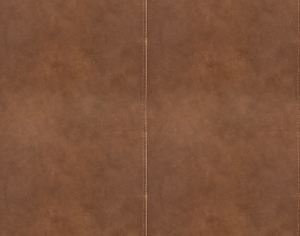 ModernRough Grain Leather