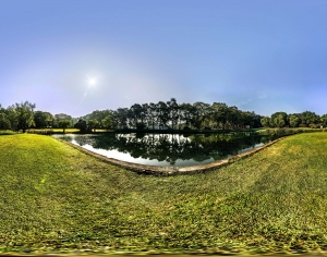 草地，蓝天，树林，hdr-ID:607319129