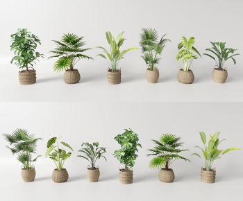 Modern Ground Green Plant Potted Plants-ID:699734936