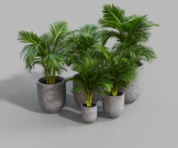 Modern Ground Green Plant Potted Plants-ID:734602935