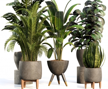 Modern Potted Green Plant-ID:211273917