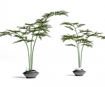 New Chinese Style Ground Green Plant Potted Plants-ID:261220936