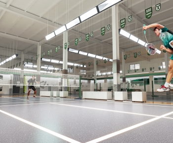 Modern Indoor Badminton Court-ID:494388106