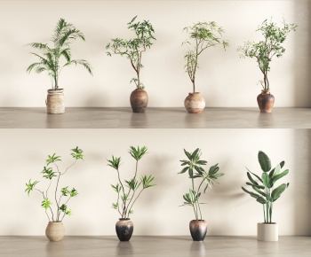 Modern Ground Green Plant Potted Plants-ID:565732009