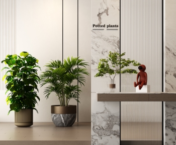 Modern Ground Green Plant Potted Plants-ID:128159527