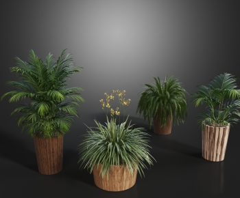 Modern Ground Green Plant Potted Plants-ID:115590124