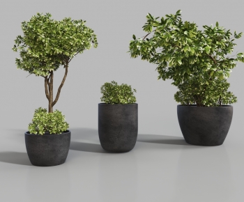 Modern Ground Green Plant Potted Plants-ID:365309007