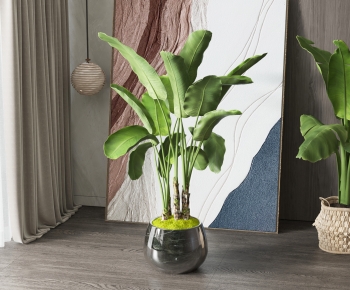 Modern Ground Green Plant Potted Plants-ID:943517921