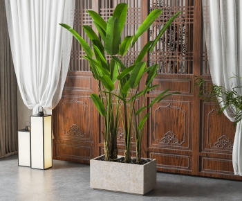 Modern Ground Green Plant Potted Plants-ID:547059067