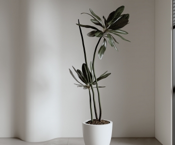 Modern Ground Green Plant Potted Plants-ID:264878033