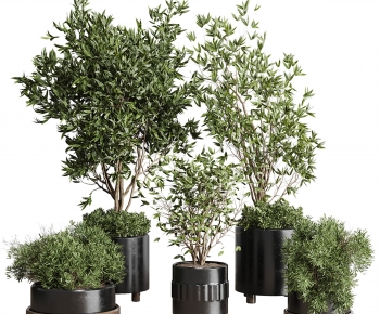 Modern Ground Green Plant Potted Plants-ID:247984894
