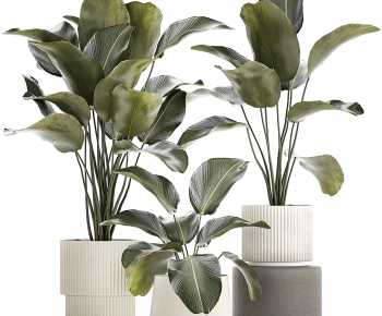 Modern Ground Green Plant Potted Plants-ID:359539994