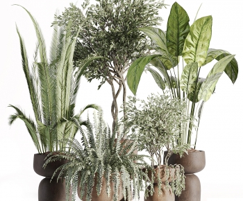 Modern Ground Green Plant Potted Plants-ID:940601111