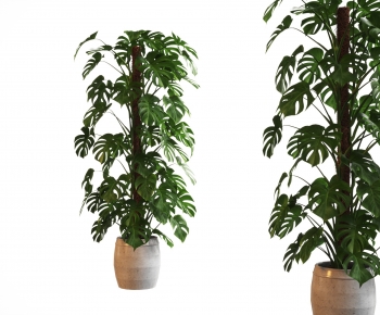 Modern Ground Green Plant Potted Plants-ID:332628014