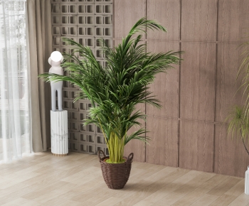 Modern Ground Green Plant Potted Plants-ID:500858078