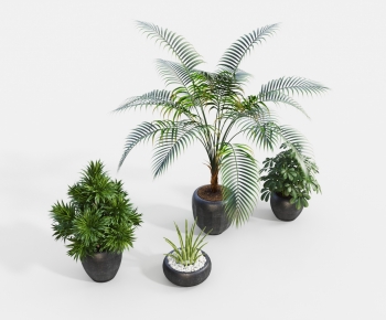 Modern Potted Green Plant-ID:938220984