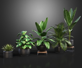 Modern Potted Green Plant-ID:967186937