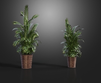 Modern Potted Green Plant-ID:576018101
