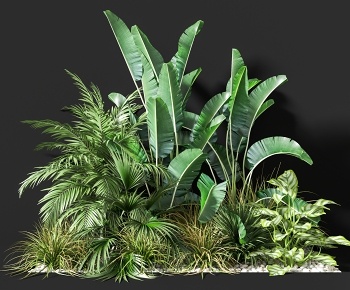 现代灌木绿植 植物堆3D模型