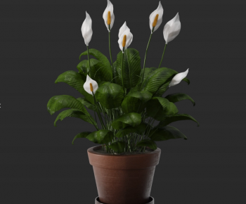 Modern Potted Green Plant-ID:654112107