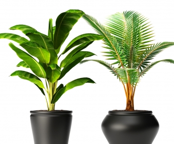Modern Ground Green Plant Potted Plants-ID:701880528