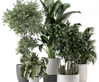 Modern Ground Green Plant Potted Plants-ID:389024024