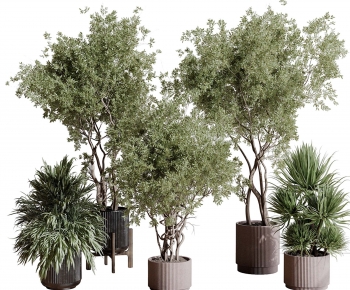 Modern Ground Green Plant Potted Plants-ID:970963958