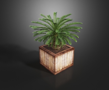 Modern Potted Green Plant-ID:579061998