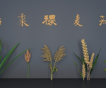 现代稻、黍、稷、麦、菽-ID:537761939