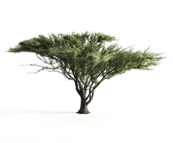 Modern Tree-ID:509114035