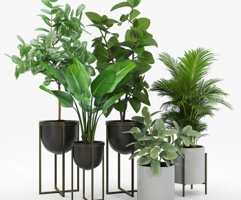 Modern Potted Green Plant-ID:893588075