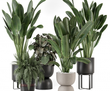 Modern Ground Green Plant Potted Plants-ID:242507935