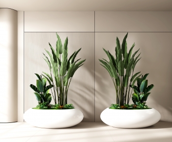 Modern Potted Green Plant-ID:695878035