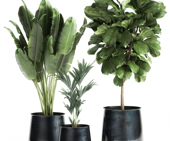 Modern Ground Green Plant Potted Plants-ID:534058093