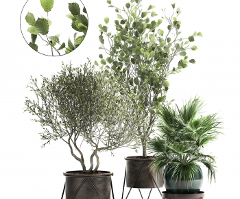 Modern Ground Green Plant Potted Plants-ID:579099894