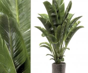 Modern Potted Green Plant-ID:683803086