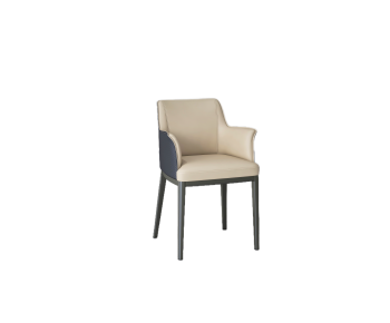 Modern Dining Chair-ID:975528966